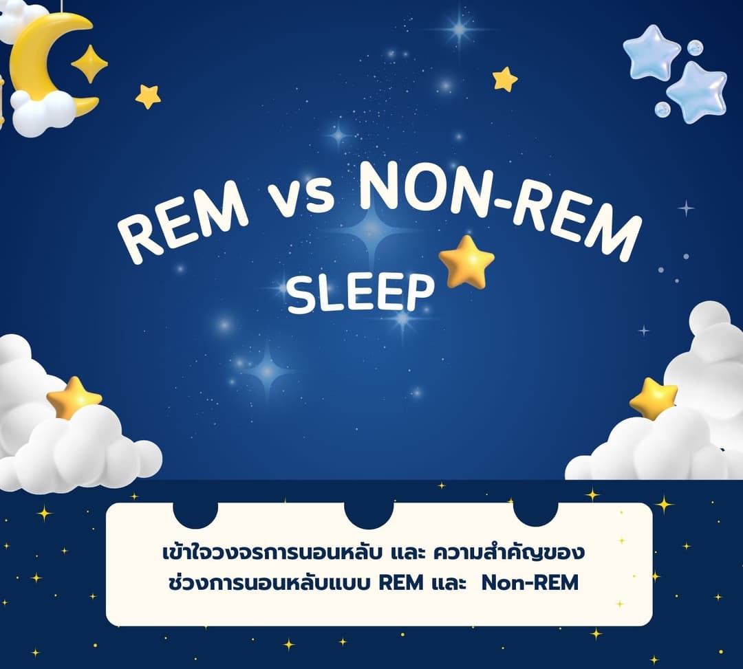 วงจรการนอนหลับ            REM-Non-REM Sleep